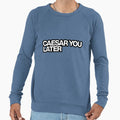 T Lasso Sweatshirt - Aesthetic Graphic Unisex - T-Shirt, Sweatshirt, Hoodie