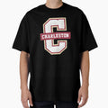 College Charleston T-Shirt - Custom Art Print for Adults - T-Shirt, Sweatshirt, Hoodie