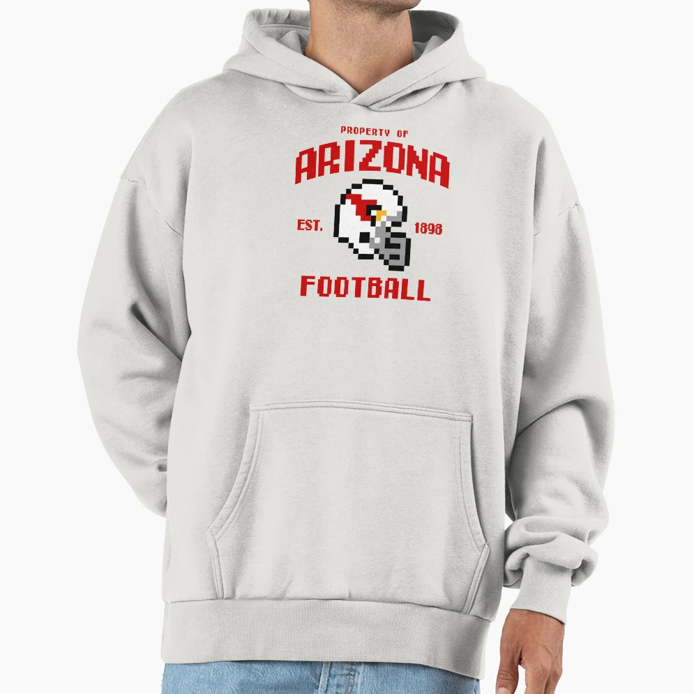 Property Arizona Cardinals Football Hoodie - Streetwear Style Men Women - T-Shirt, Sweatshirt, Hoodie