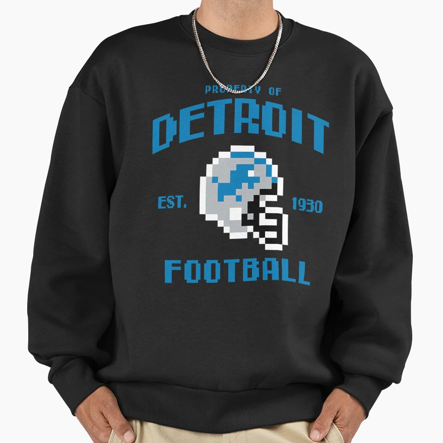 Property Detroit Lions Football Sweatshirt - Novelty Apparel Unisex - T-Shirt, Sweatshirt, Hoodie