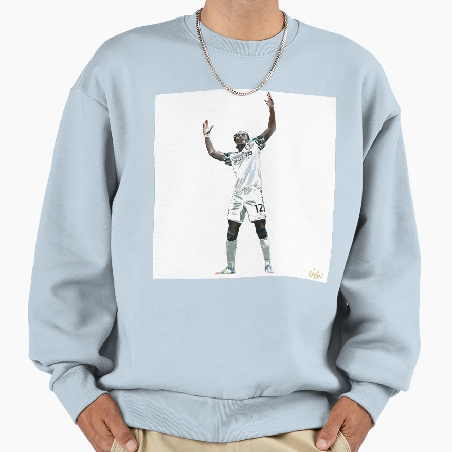 Eliezer Mayenda Playoff Final Goal Sweatshirt - Graphic Print for Adults - T-Shirt, Sweatshirt, Hoodie