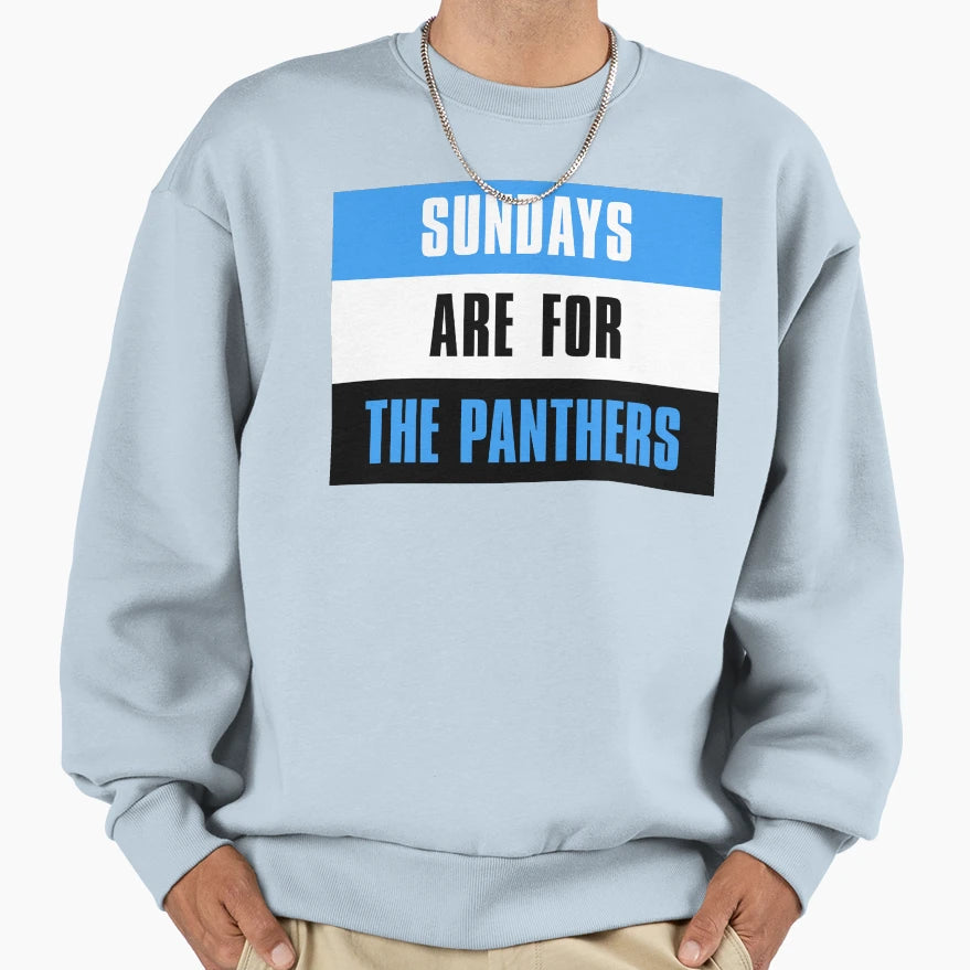 Sundays Are Panthers Carolina Sweatshirt - Fun Novelty Design for Adults - T-Shirt, Sweatshirt, Hoodie