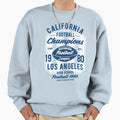 Football Champion Sweatshirt - Novelty Apparel Unisex - T-Shirt, Sweatshirt, Hoodie