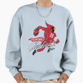 Chicago Cardinals Sweatshirt - Unique Graphic for Adults - T-Shirt, Sweatshirt, Hoodie
