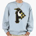 Pittsburgh All Teams Sweatshirt - Casual Everyday Wear Unisex - T-Shirt, Sweatshirt, Hoodie