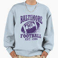 Baltimore Football Sweatshirt - Fun Novelty Design Men Women - T-Shirt, Sweatshirt, Hoodie