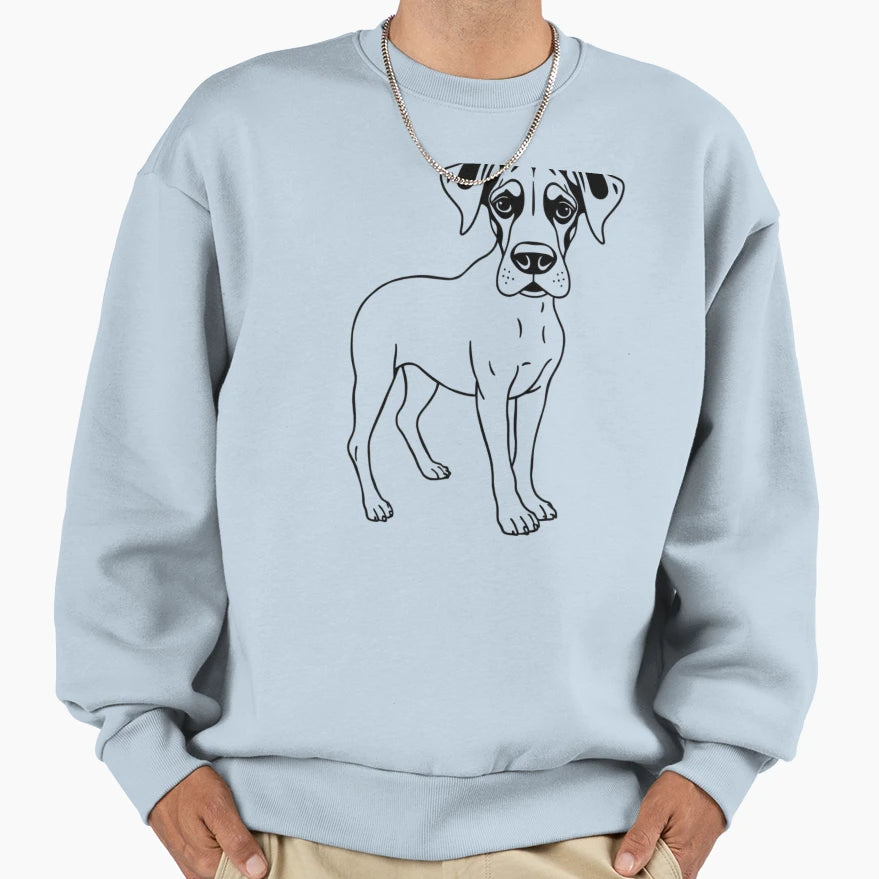 Friendly Great Dane Sitting Calmly Sweatshirt - Aesthetic Graphic Unisex - T-Shirt, Sweatshirt, Hoodie
