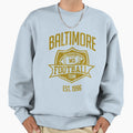 Baltimore Football Team Inspired Sweatshirt - Custom Art Print Unisex - T-Shirt, Sweatshirt, Hoodie