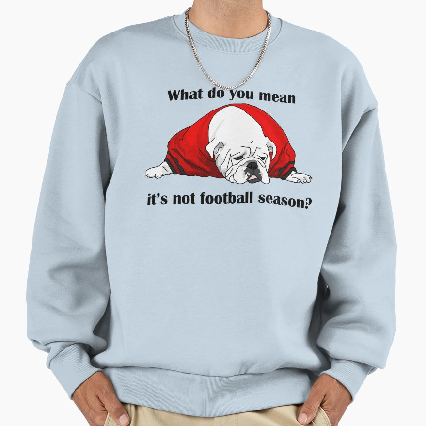 Can Football Season Be All Year Sweatshirt - Streetwear Style Unisex - T-Shirt, Sweatshirt, Hoodie