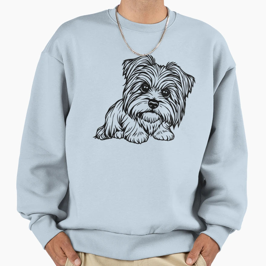 Havanese Long Hair Sitting Sweatshirt - Trendy Graphic Unisex - T-Shirt, Sweatshirt, Hoodie