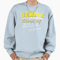 Senior Aunt Class 2024 Softball Proud Sweatshirt - Trendy Graphic Unisex - T-Shirt, Sweatshirt, Hoodie