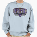 Baltimore Football Ravens Inspired Sweatshirt - Unique Graphic for Adults - T-Shirt, Sweatshirt, Hoodie