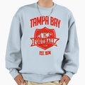 Tampa Bay Football Team Inspired Sweatshirt - Aesthetic Graphic for Adults - T-Shirt, Sweatshirt, Hoodie