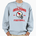 Property Arizona Cardinals Football Sweatshirt - Trendy Graphic Men Women - T-Shirt, Sweatshirt, Hoodie