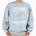 Football Detroit Lions Sweatshirt - Fun Novelty Design for Adults - T-Shirt, Sweatshirt, Hoodie
