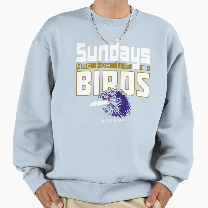 Baltimore Pro Football Sunday Sweatshirt - Fun Novelty Design for Adults - T-Shirt, Sweatshirt, Hoodie