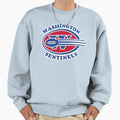 Washington Sentinels Replacements Sweatshirt - Minimalist Print for Adults - T-Shirt, Sweatshirt, Hoodie