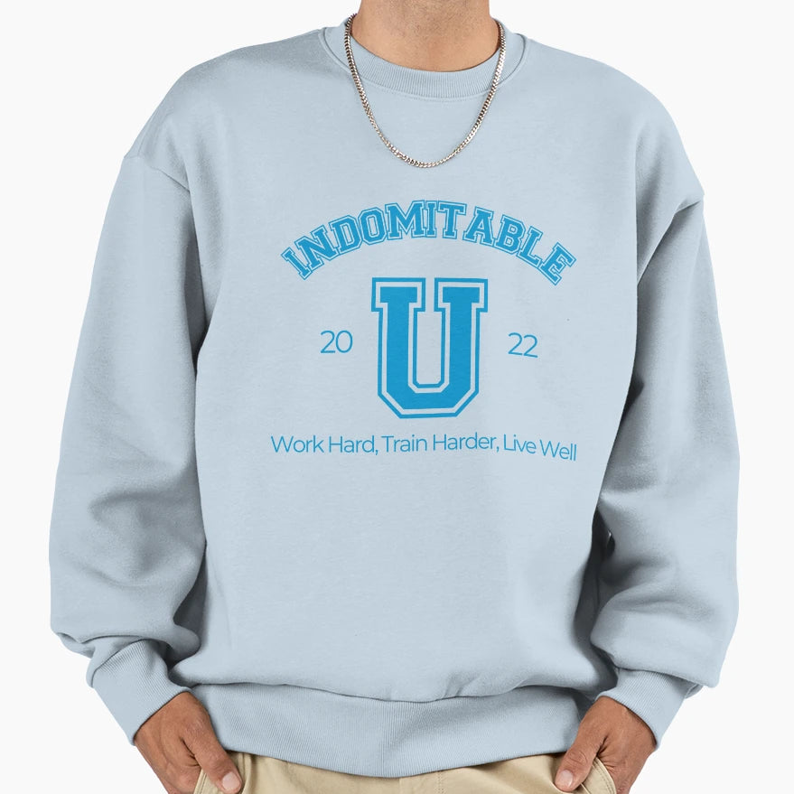 Indomitable University Really You Sweatshirt - Novelty Apparel Men Women - T-Shirt, Sweatshirt, Hoodie