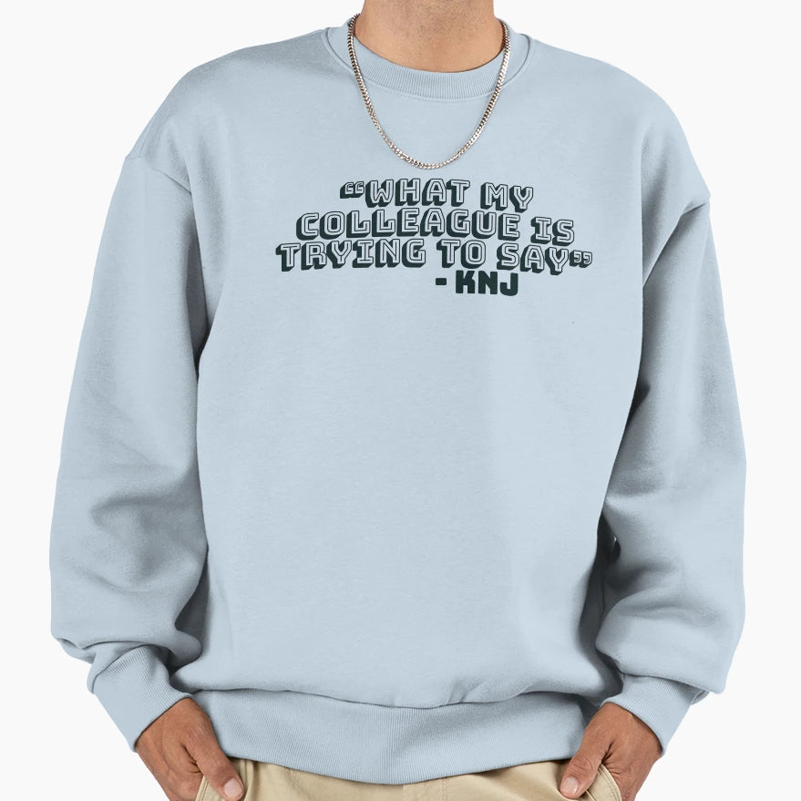 What My Colleague Is Trying Sweatshirt - Casual Everyday Wear for Adults - T-Shirt, Sweatshirt, Hoodie