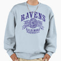 Ravens Football Sweatshirt - Fun Novelty Design for Adults - T-Shirt, Sweatshirt, Hoodie