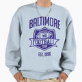 Baltimore Football Team Inspired Sweatshirt - Minimalist Print for Adults - T-Shirt, Sweatshirt, Hoodie