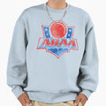 American Dodgeball Association Sweatshirt - Fun Novelty Design for Adults - T-Shirt, Sweatshirt, Hoodie