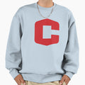Central College Iowa Sweatshirt - Aesthetic Graphic for Adults - T-Shirt, Sweatshirt, Hoodie