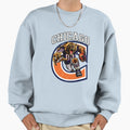 Chicago Football Sweatshirt - Fun Novelty Design for Adults - T-Shirt, Sweatshirt, Hoodie