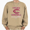 Chicago Cardinals 1924 World Sweatshirt - Casual Everyday Wear for Adults - T-Shirt, Sweatshirt, Hoodie