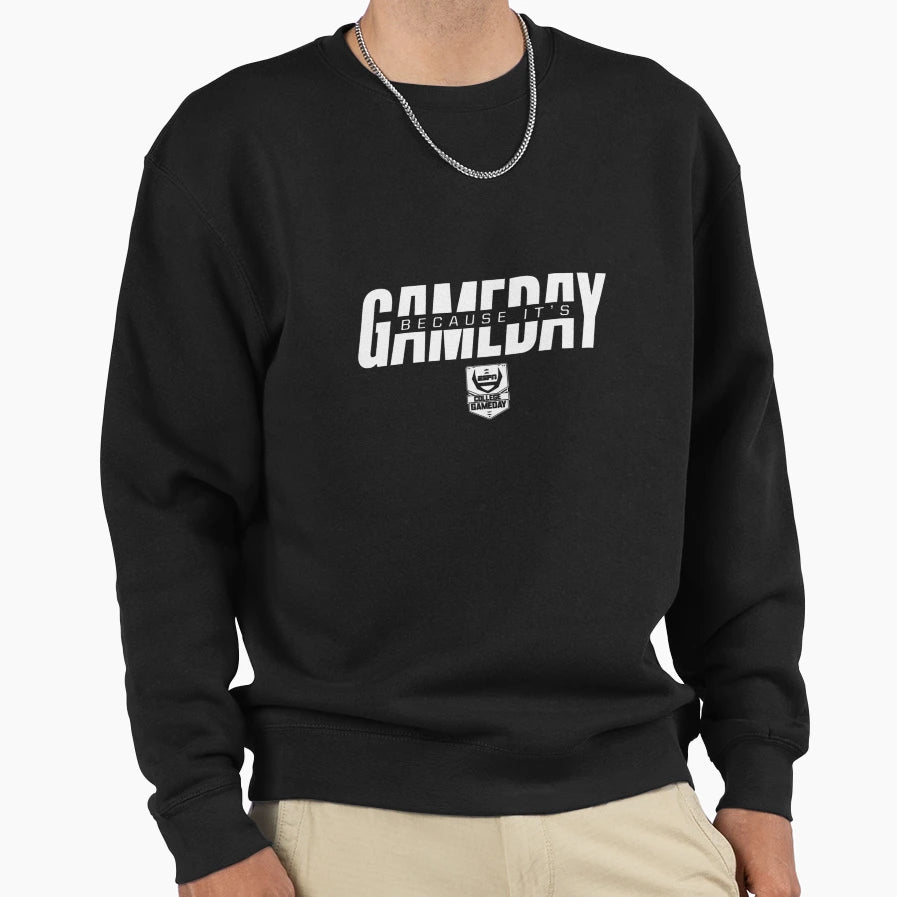Espn College Gameday Because Its Sweatshirt - Aesthetic Graphic Men Women - T-Shirt, Sweatshirt, Hoodie