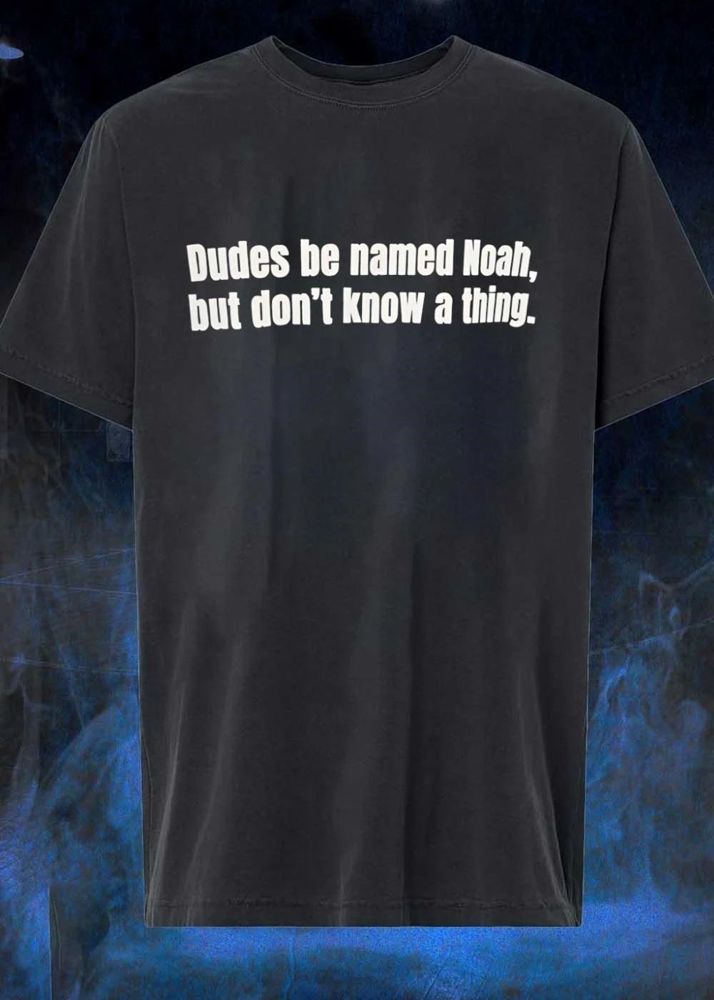 Dudes Be Named Noah, But Don't Know A Thing. - Adult & Kids T-Shirts, Sweatshirts & Hoodies apparel design preview 1
